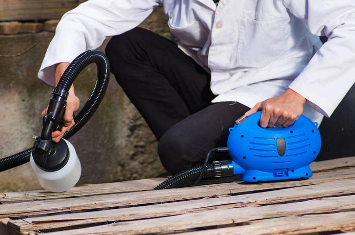 Aparat electric de vopsit si zugravit 650W, 800 ml