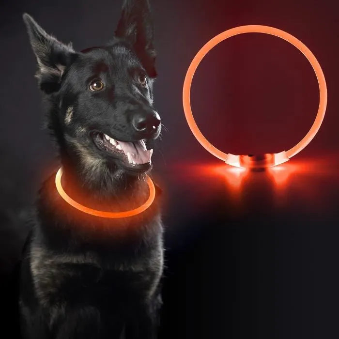 Zgarda LED reglabila pentru animale, incarcare USB