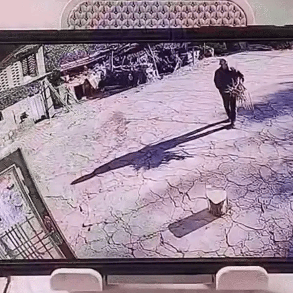 Camera Video Wi-Fi 1080p HD WIDE 150 cu conectare la Telefon