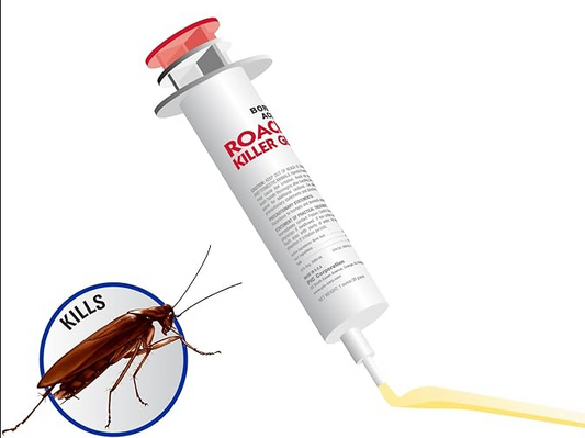 Insecticid tip seringa impotriva gandacilor