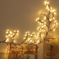 Lumina decorativa pentru perete- Diverse modele