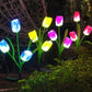 Set 2 Lampi Solare Decorative 70cm, lumina calda, IP66 - Diferite modele