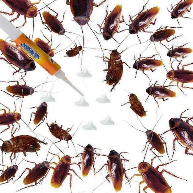 Insecticid tip seringa impotriva gandacilor 30 g