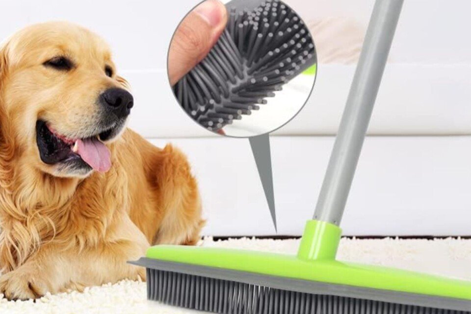 Matura pentru îndepărtarea părului animalelor de companie